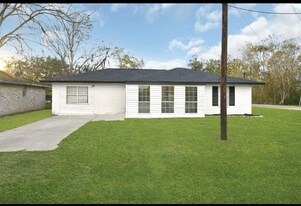 20310 County Rd 510F in Brazoria, TX - Building Photo