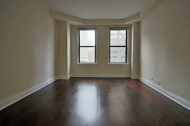 238 E Chestnut St in Chicago, IL - Foto de edificio - Building Photo