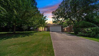213 Mesa View in Montgomery, TX - Building Photo