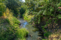 Urban Living at Fanno Creek in Tigard, OR - Foto de edificio - Building Photo