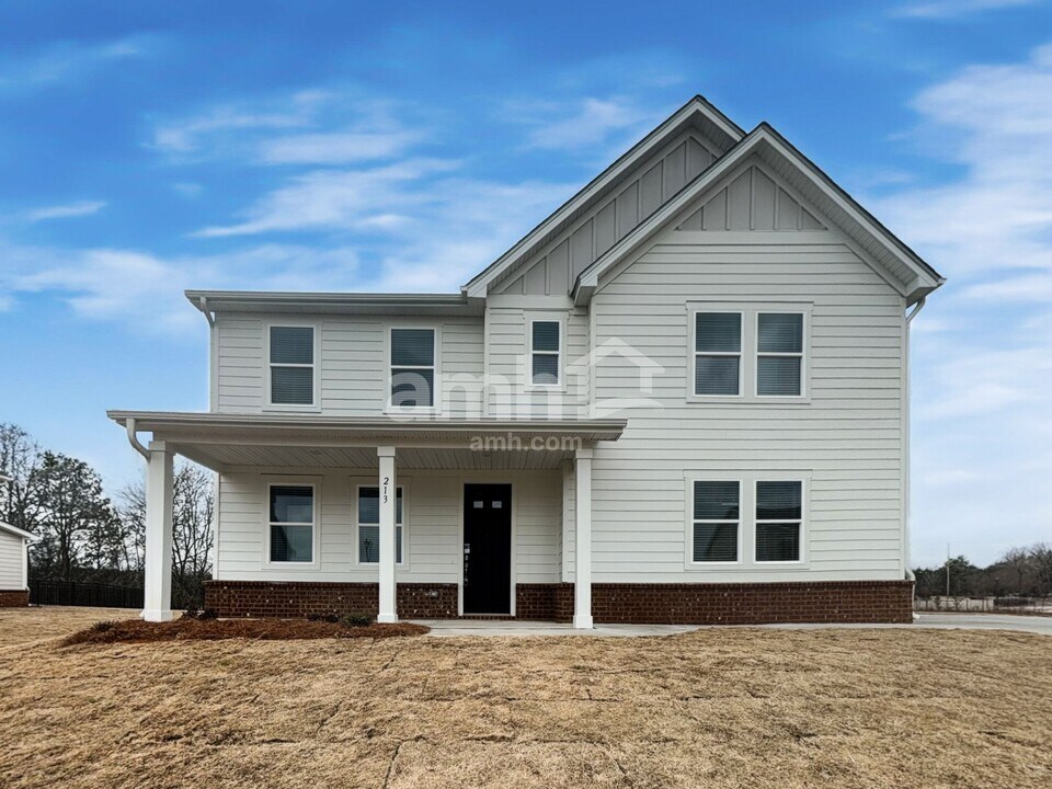 213 Chase Ln in Mcdonough, GA - Building Photo