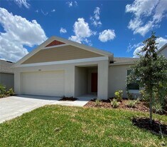 12921 Twin Bridges Dr in Riverview, FL - Building Photo