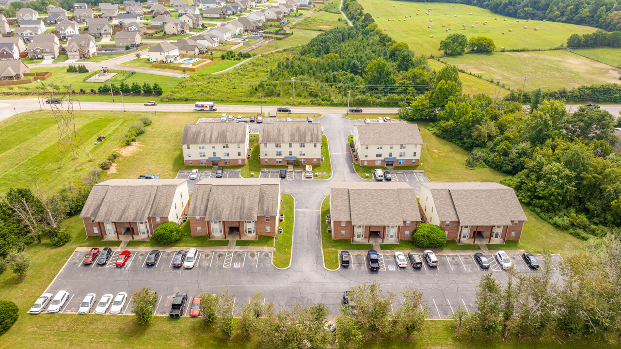 703 Blue Sky Dr in Maryville, TN - Building Photo