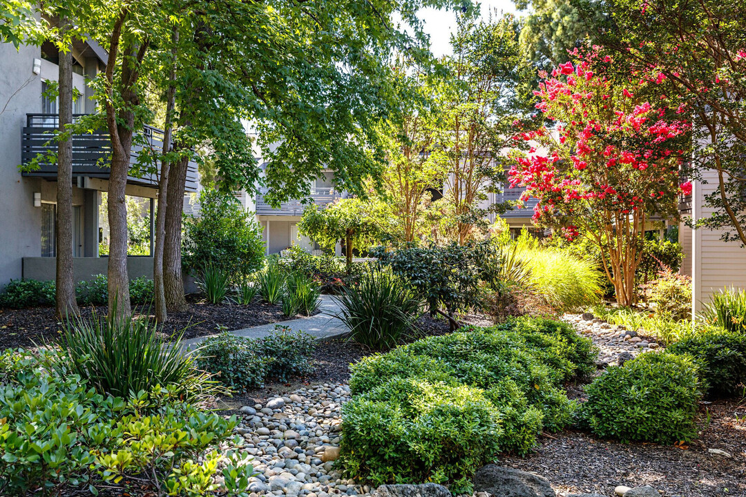 Shadowbrook in Sunnyvale, CA - Building Photo