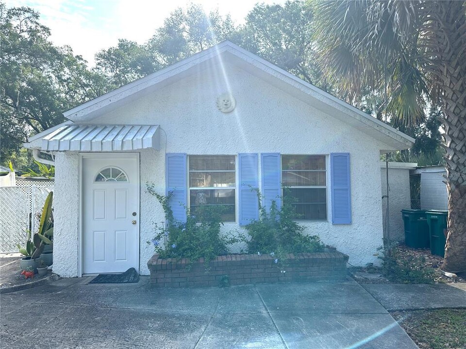 206 E 9th Ave in Mount Dora, FL - Building Photo