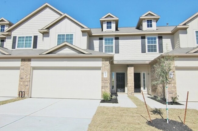 18242 Bethany Manor Ct in Katy, TX - Building Photo - Building Photo