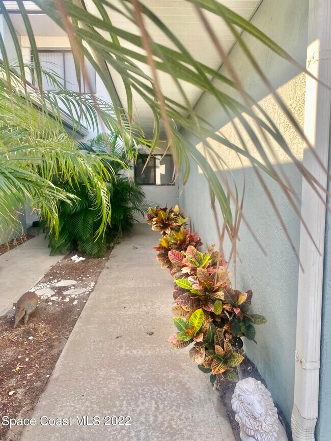 1241 Beachside Ln in Indialantic, FL - Building Photo - Building Photo