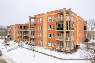 Primary Photo