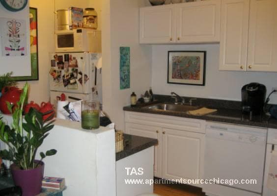 945 Judson Ave, Unit 1 in Evanston, IL - Foto de edificio - Building Photo