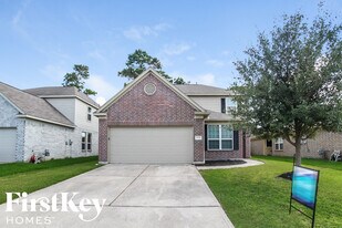 10534 Fire Sage Dr in Humble, TX - Building Photo