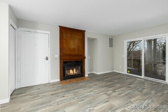 911 North Ave NE in Grand Rapids, MI - Building Photo - Building Photo