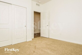1782 Branching Canopy Dr in Windsor, CO - Building Photo - Building Photo