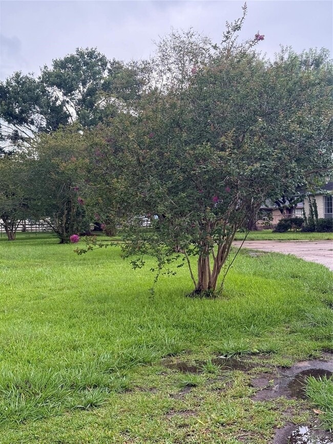 property at 717 E Sycamore St