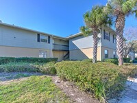 224 Red Maple Pl in Brandon, FL - Foto de edificio - Building Photo