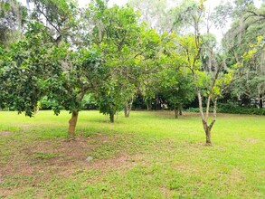 11756 SE 62nd Ave in Belleview, FL - Building Photo - Building Photo