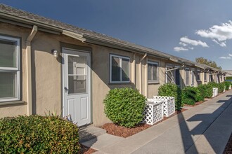 917 Chestnut St in San Jose, CA - Foto de edificio - Building Photo