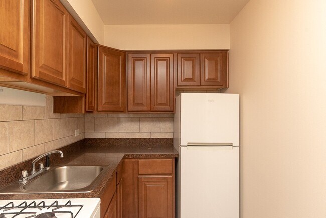535 W Aldine Ave in Chicago, IL - Building Photo - Building Photo