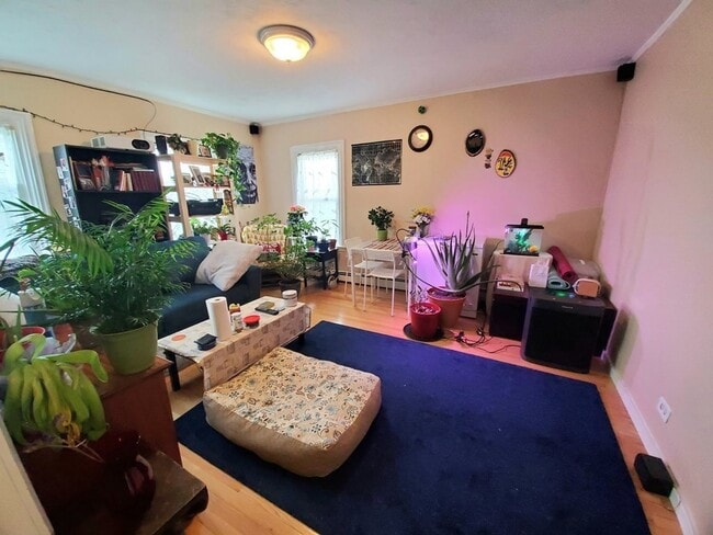 41 Mount Pleasant St, Unit 3