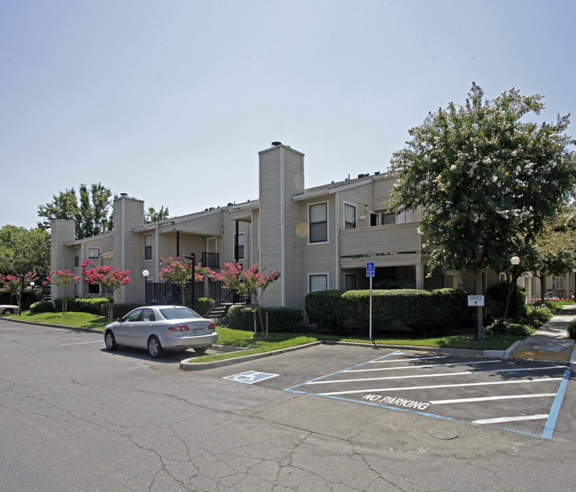 Seville Apartments in Rancho Cordova, CA - Building Photo - Building Photo