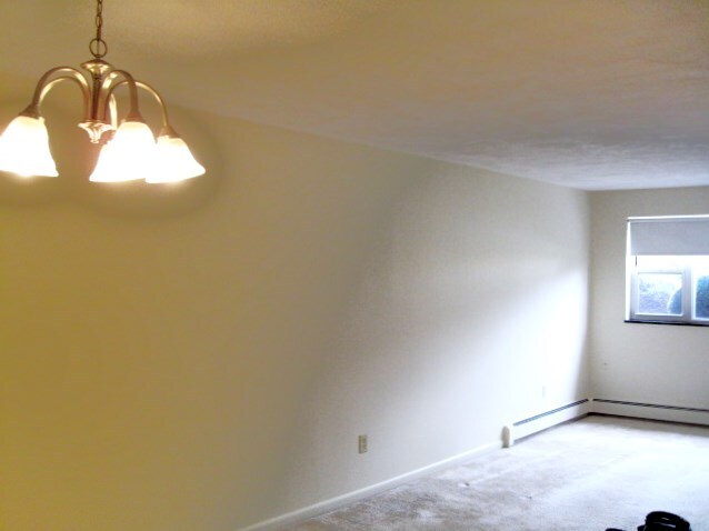 166 Lexington St, Unit 1 in Auburndale, MA - Foto de edificio - Building Photo