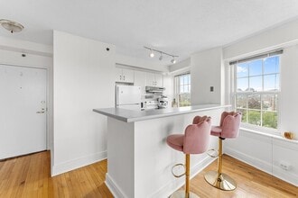 531 Beacon St, Unit 1005R in Boston, MA - Building Photo - Building Photo