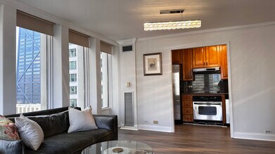 100 E Walton St in Chicago, IL - Building Photo - Building Photo