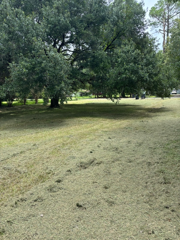 11735 Ellen Dr in Baton Rouge, LA - Building Photo - Building Photo