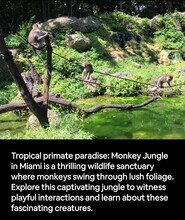 19661 SW 340th St in Florida City, FL - Foto de edificio - Building Photo