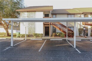719 SW 47th Terrace in Cape Coral, FL - Building Photo