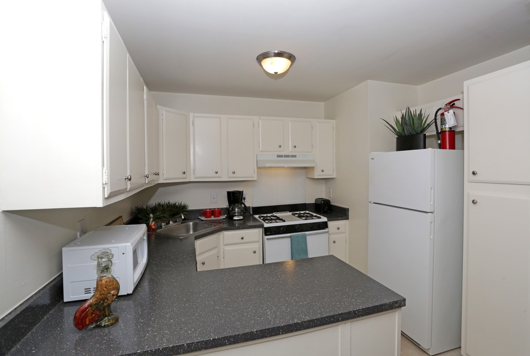 North Arch Village in Richmond, VA - Building Photo