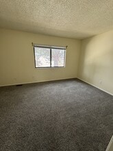 3762 Oro Blanco Dr in Colorado Springs, CO - Building Photo - Building Photo