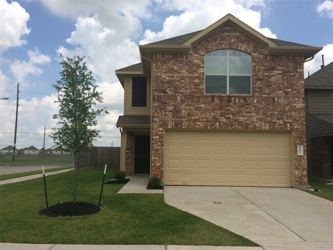 19022 Zanardo Ct in Katy, TX - Building Photo - Building Photo