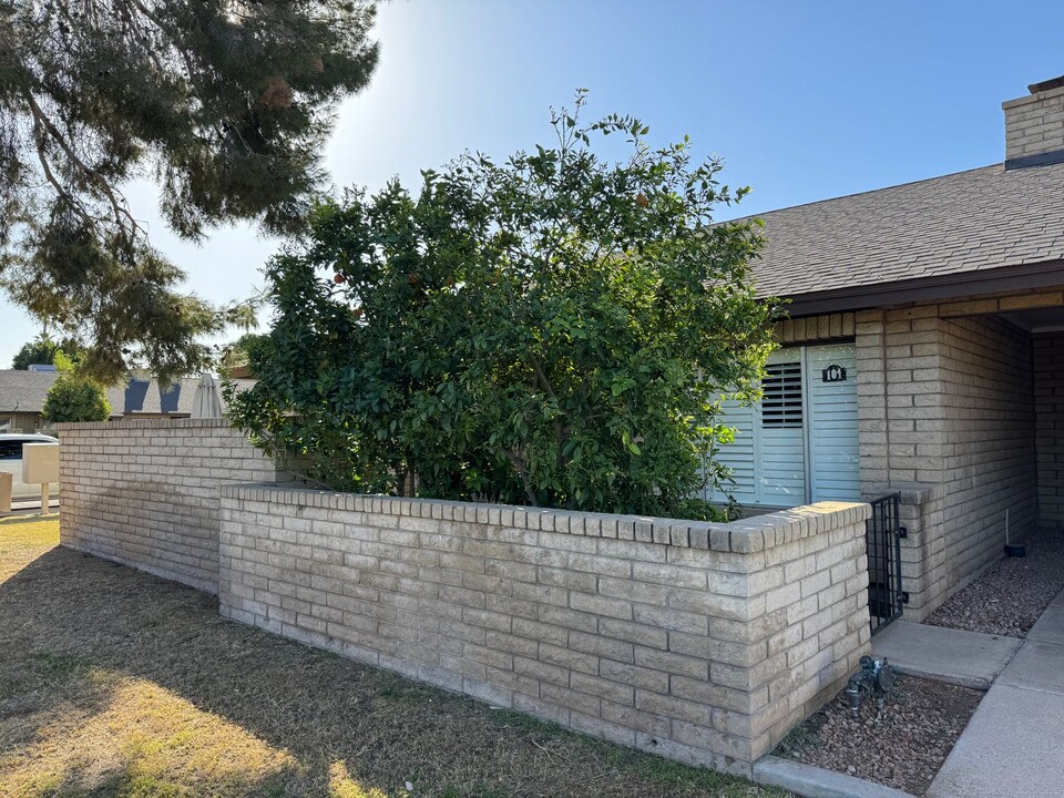 19 W Concorda Dr in Tempe, AZ - Building Photo