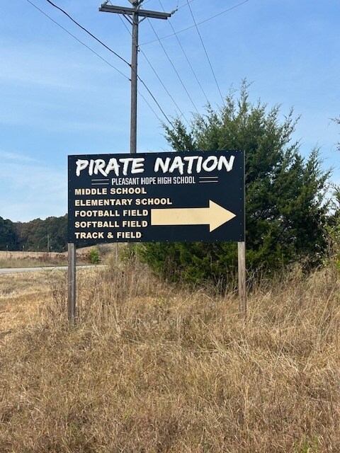 587 Panich St in Pleasant Hope, MO - Building Photo - Building Photo