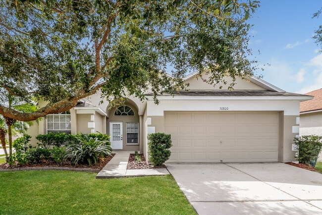 property at 30800 Birdhouse Dr