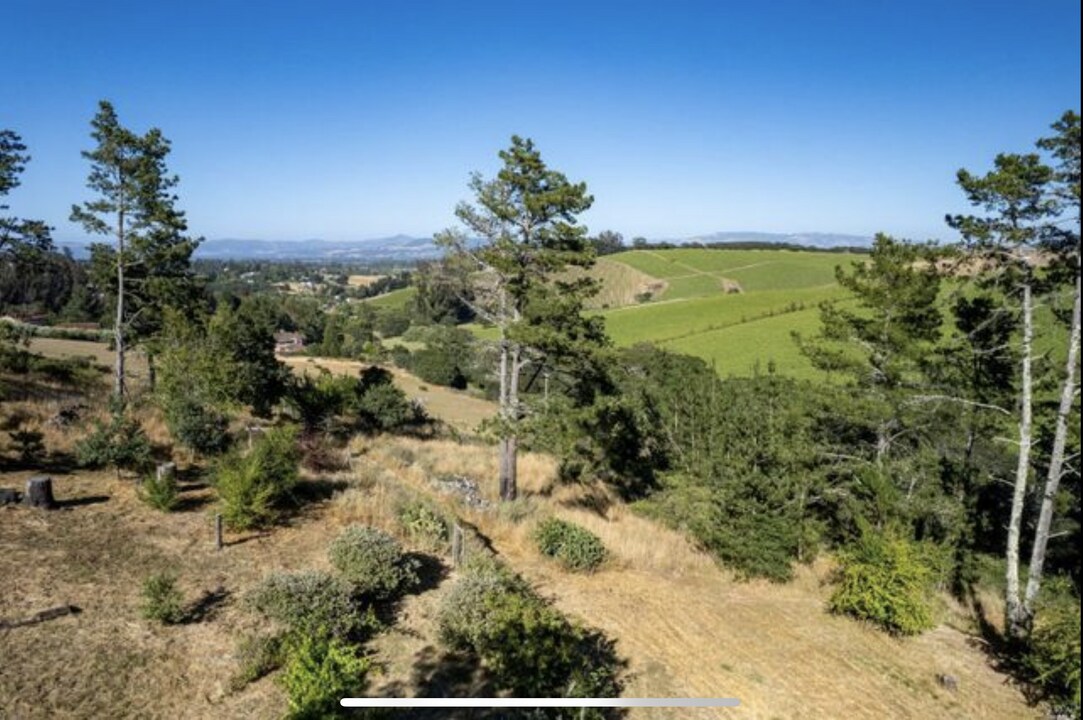 3600 Bloomfield Rd in Sebastopol, CA - Building Photo