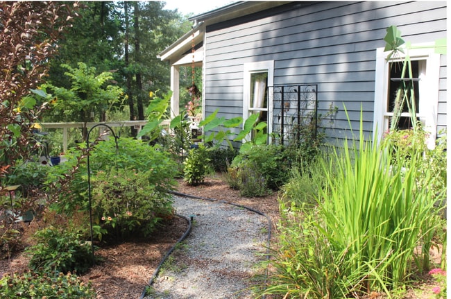 203 Lucky Horse Ln in Lake Lure, NC - Building Photo - Building Photo