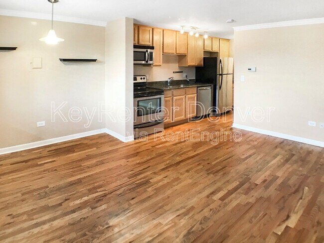529 N Washington St in Denver, CO - Building Photo - Building Photo