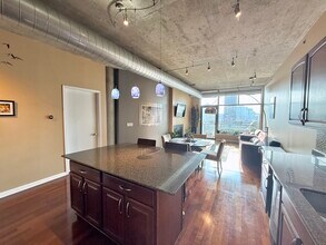 125 E 13th St in Chicago, IL - Foto de edificio - Building Photo