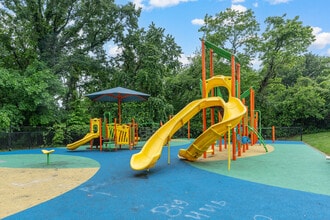 Skyline Apartments in Washington, DC - Building Photo - Building Photo