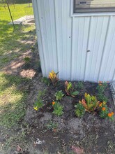 2410 Ave C SW in Winter Haven, FL - Building Photo - Building Photo