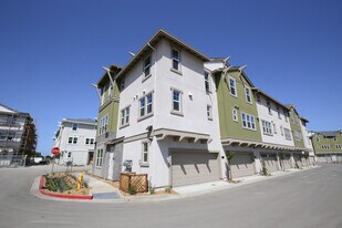 838 Galt Ter in Sunnyvale, CA - Building Photo