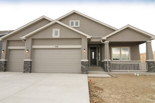 7170 Bigtooth Maple Dr in Colorado Springs, CO - Building Photo