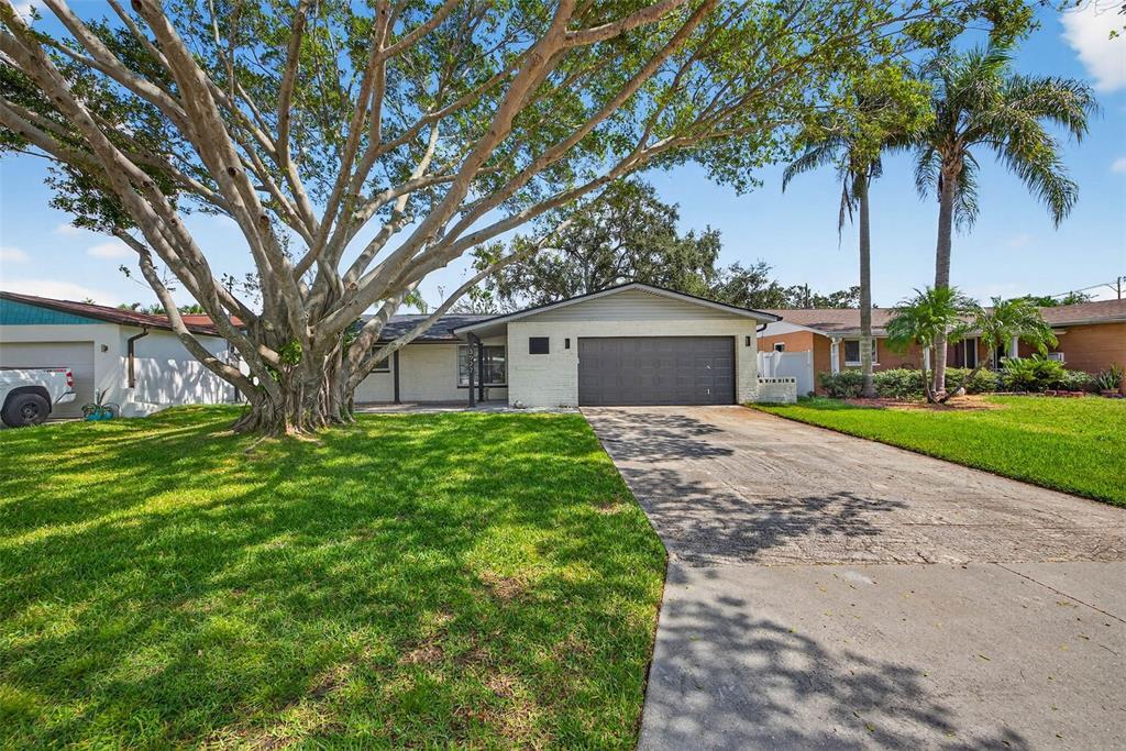 3927 Helena St NE in St. Petersburg, FL - Building Photo