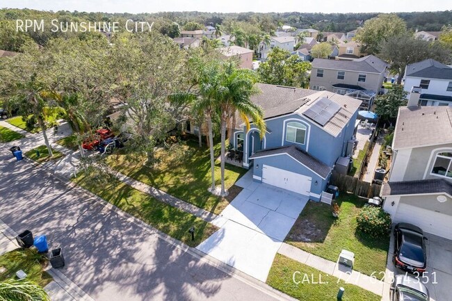 11216 Clayridge Dr in Tampa, FL - Building Photo - Building Photo