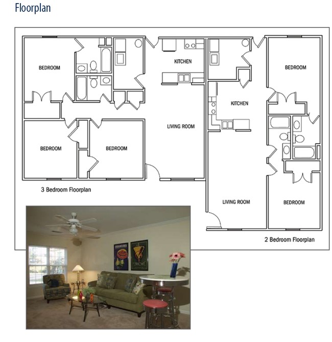 Pine Bluff Rd in Athens, GA - Building Photo - Floor Plan