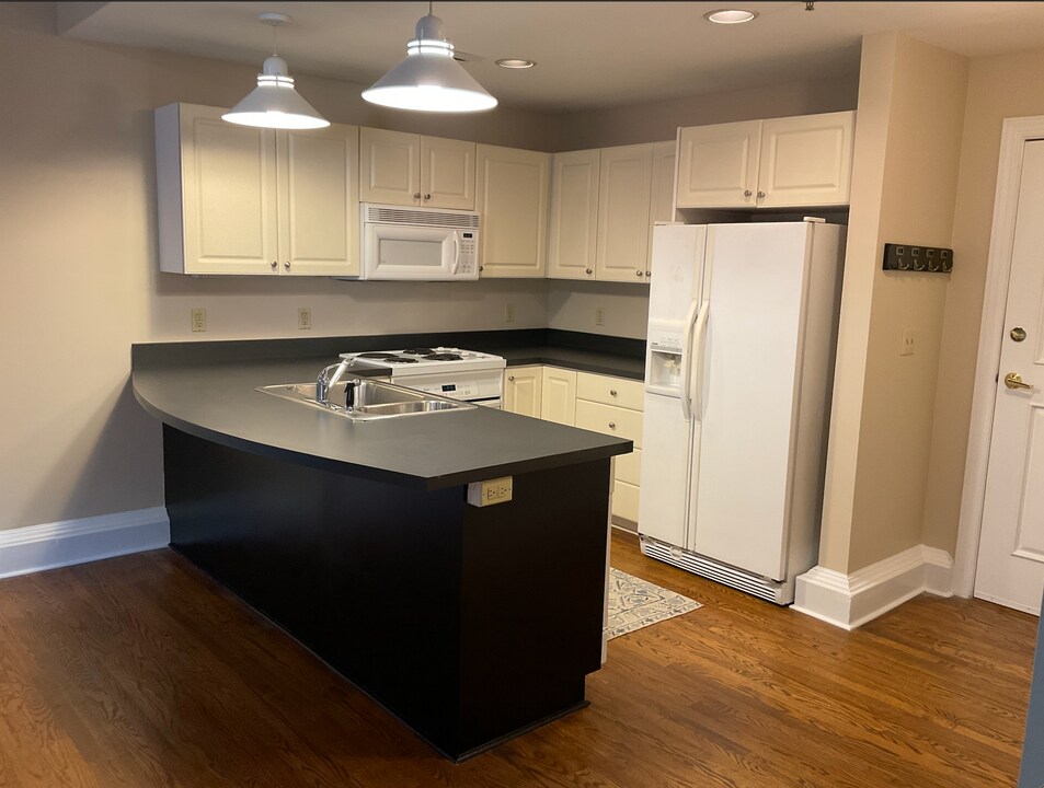 100 W Court St, Unit 1D in Greenville, SC - Foto de edificio