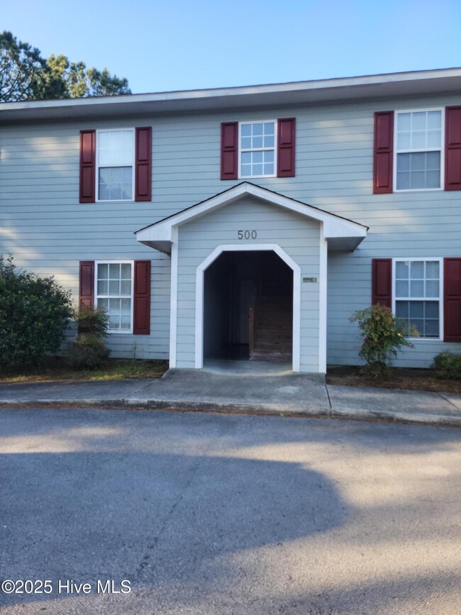 property at 500 Hammock Ln