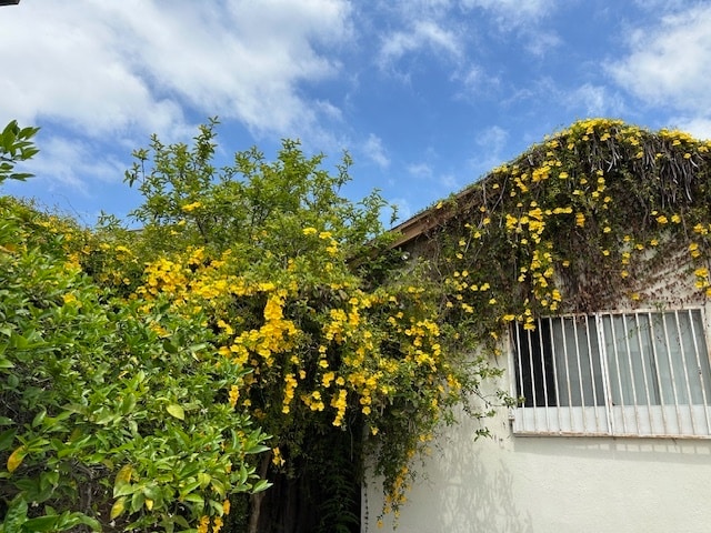 340 W Gage Ave, Unit 340 B in Los Angeles, CA - Foto de edificio - Building Photo