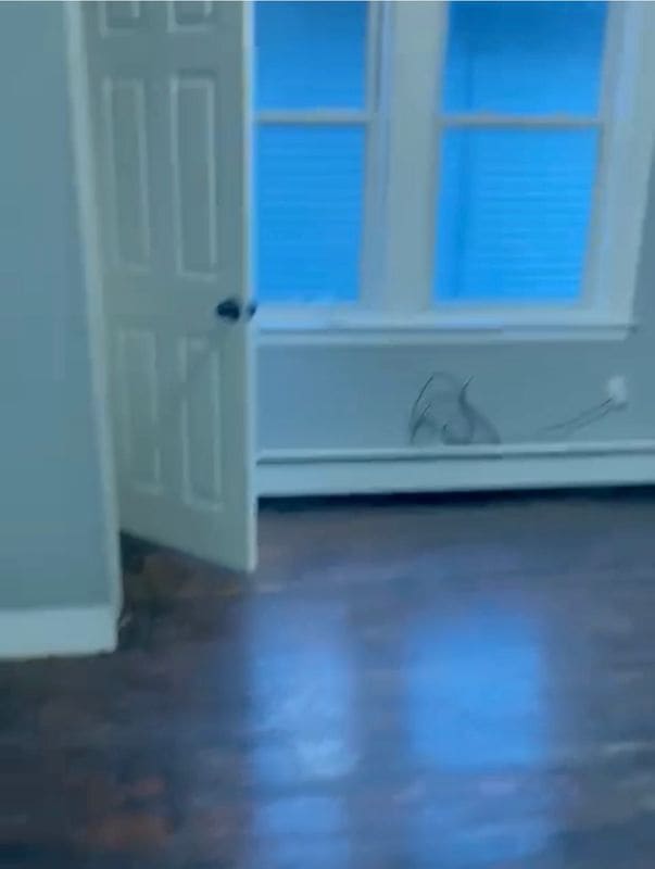 71 Westland St in Hartford, CT - Building Photo - Building Photo